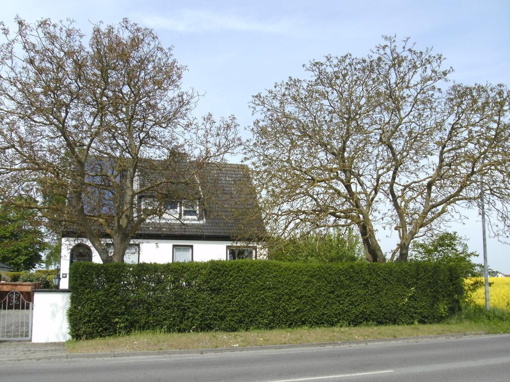 Ferienhaus Am Fuchsberg Διαμέρισμα Dahme  Εξωτερικό φωτογραφία